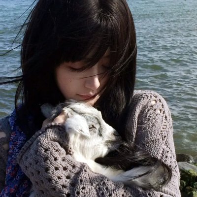 梦物语 海报